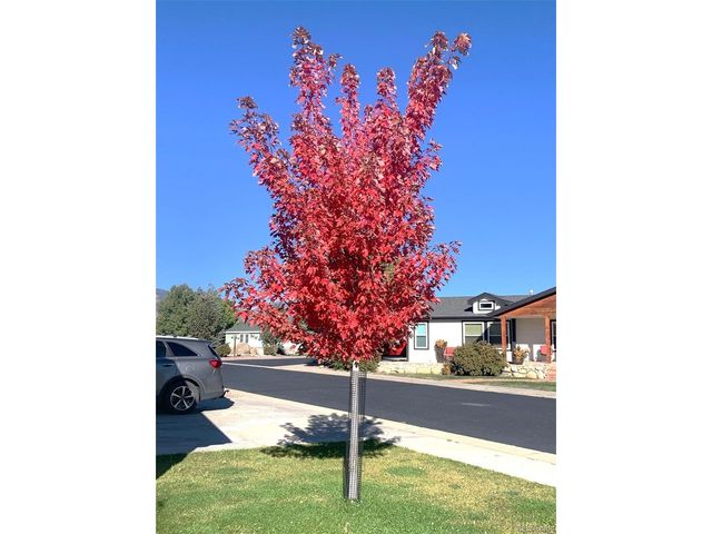 27665 County Road 313 42, Buena Vista, CO 81211