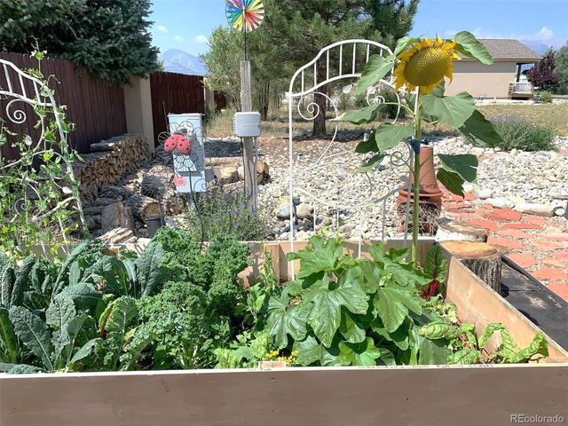 27665 County Road 313 42, Buena Vista, CO 81211