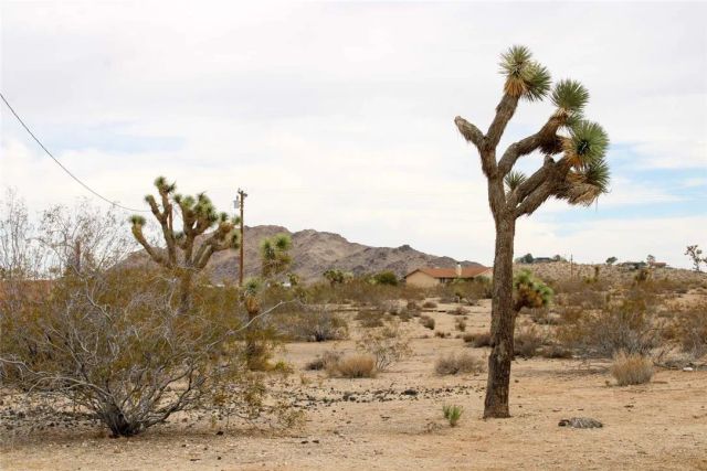 45908 Anita, Yucca Valley, CA 92284