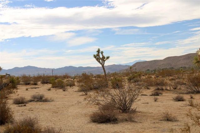 45908 Anita, Yucca Valley, CA 92284