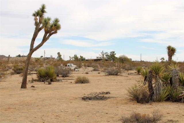 45908 Anita, Yucca Valley, CA 92284