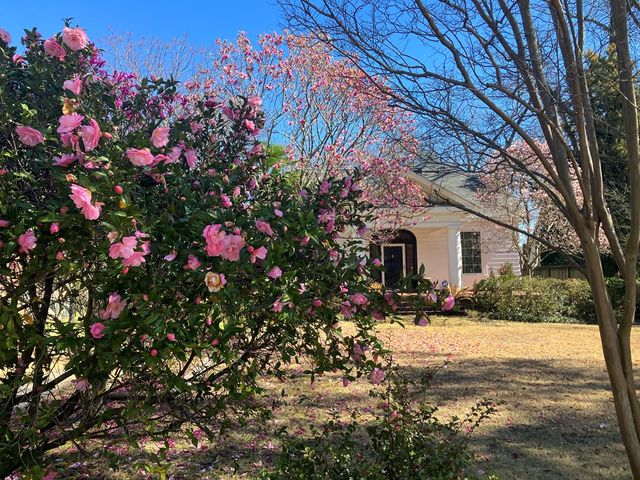 1136 Lockwood Avenue, Columbus, GA 31906