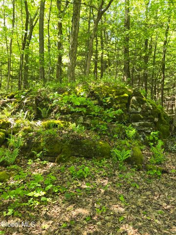 411 Thacher Park Road, Voorheesville, NY 12186