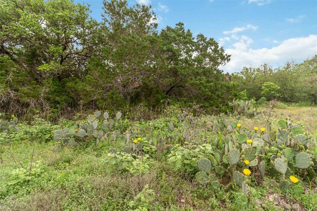 1306 Thousand Oaks LOOP, San Marcos, TX 78666
