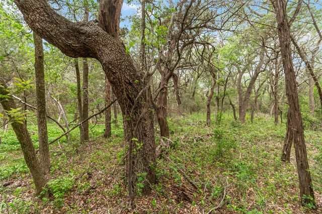 1306 Thousand Oaks LOOP, San Marcos, TX 78666