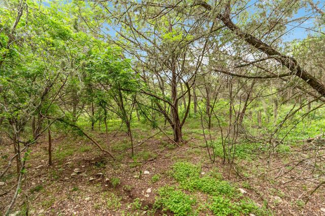 1306 Thousand Oaks LOOP, San Marcos, TX 78666
