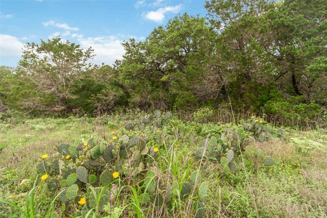 1306 Thousand Oaks LOOP, San Marcos, TX 78666
