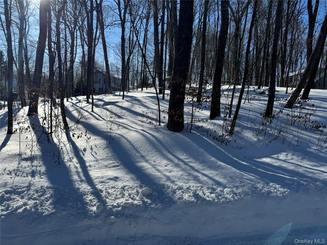 Lakeview Drive, Pawling, NY 12564