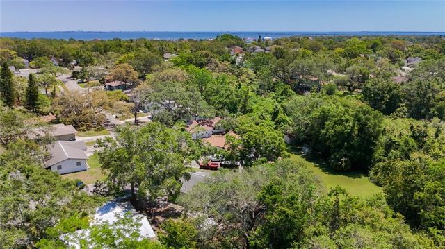 1444 OAK HAVEN DRIVE, Safety Harbor, FL 34695