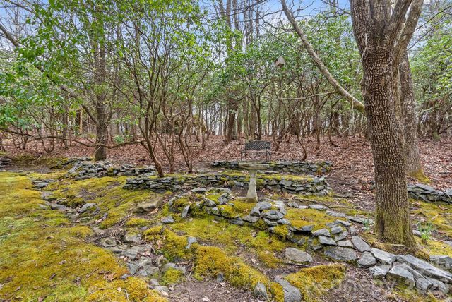 75 Wodigeasgohi Drive, Brevard, NC 28712