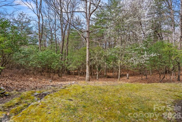 75 Wodigeasgohi Drive, Brevard, NC 28712