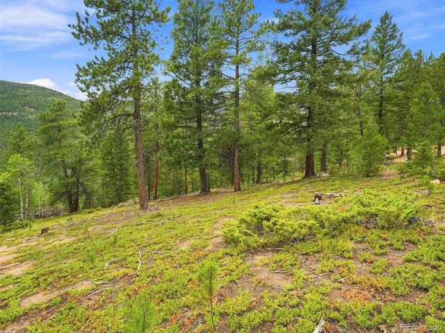 31084 Forest Shadow Trl, Conifer, CO 80433