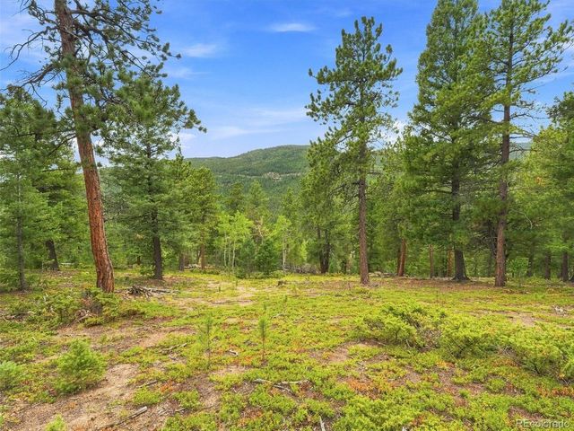 31084 Forest Shadow Trl, Conifer, CO 80433