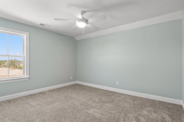 164 Peru Farm Dr., Georgetown, SC 29440