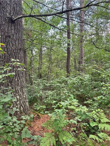 0 E Wilderness Court, Barnes, WI 54873