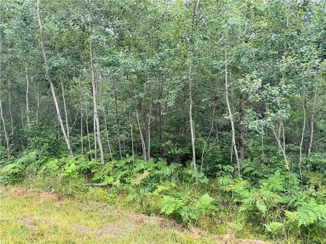 0 E Wilderness Court, Barnes, WI 54873