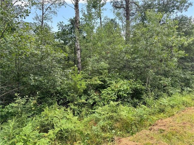 0 E Wilderness Court, Barnes, WI 54873