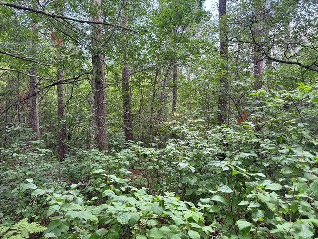 0 E Wilderness Court, Barnes, WI 54873