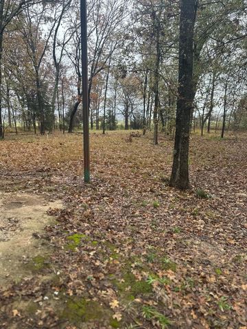 225 County Road 1975, Yantis, TX 75497