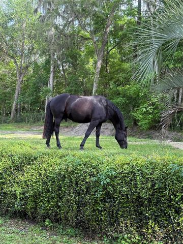 22924 NW 91ST COURT ROAD, Micanopy, FL 32667