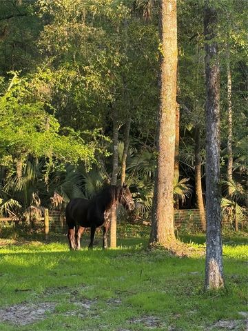 22924 NW 91ST COURT ROAD, Micanopy, FL 32667