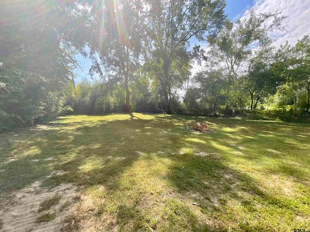 151 Patton Ln, Tyler, TX 75704