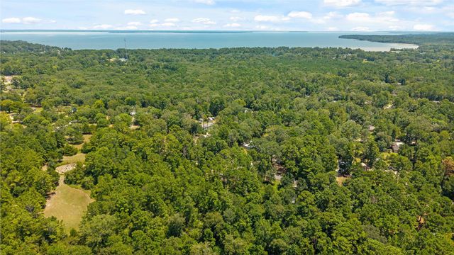 350 Oak Tree Drive, Point Blank, TX 77364
