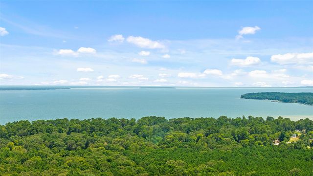 350 Oak Tree Drive, Point Blank, TX 77364