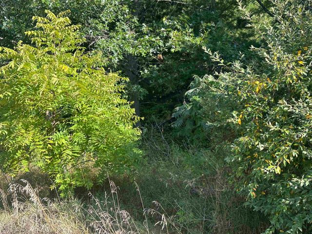 Lots 26-30 Willow Street, Lake, MI 48632