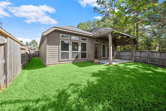 110 Logan Pass Court, Montgomery, TX 77316
