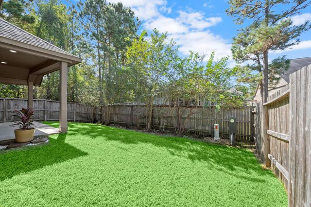 110 Logan Pass Court, Montgomery, TX 77316