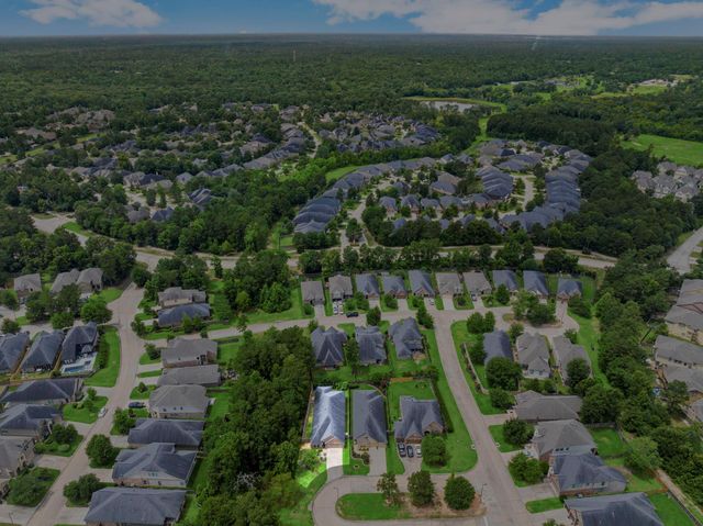 110 Logan Pass Court, Montgomery, TX 77316