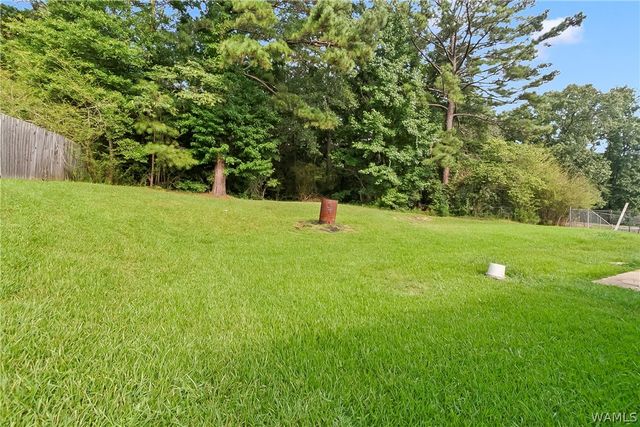 13889 Smokey Hollow, Northport, AL 35475