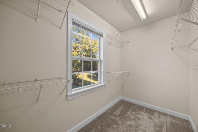 505 Vinson Road, Clayton, NC 27527