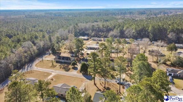 528 Azalea Drive, Lake City, SC 29560