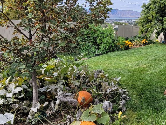 1118 N 580 E, Pleasant Grove, UT 84062