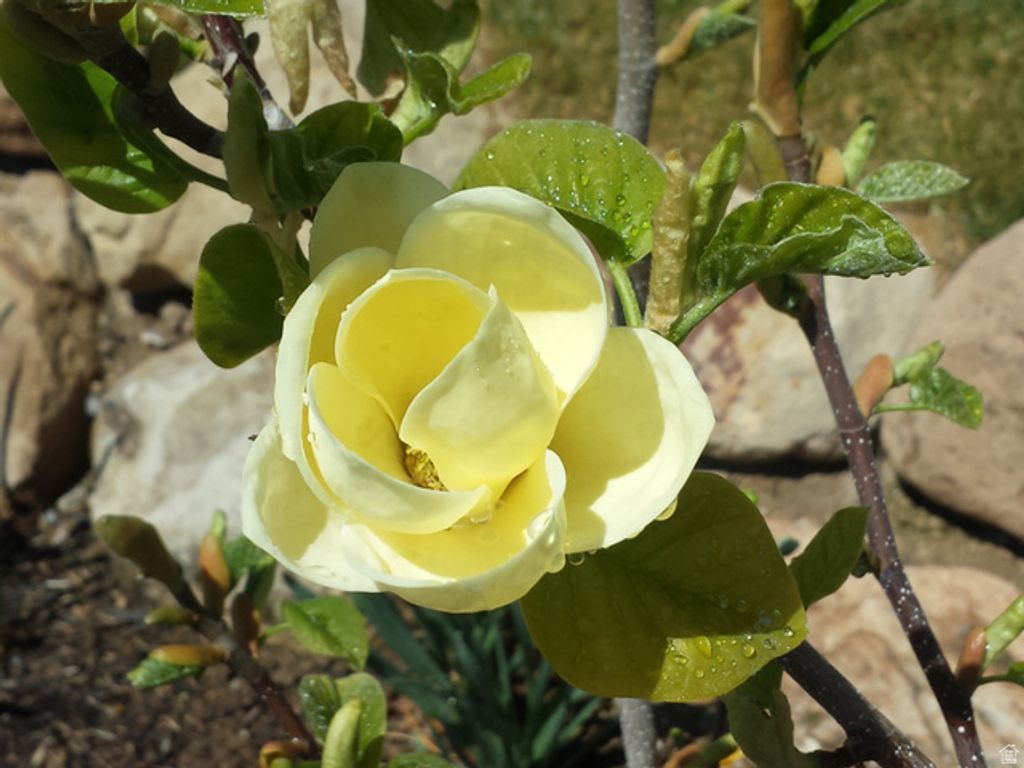 Image 38 of property listing at 1118 N 580 E, Pleasant Grove, UT 84062