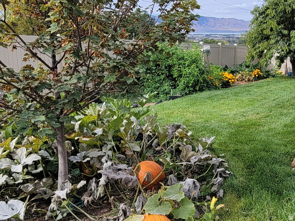 Image 41 of property listing at 1118 N 580 E, Pleasant Grove, UT 84062