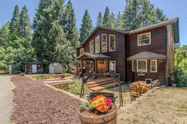 18150 Acorn Ct, Pioneer, CA 95666