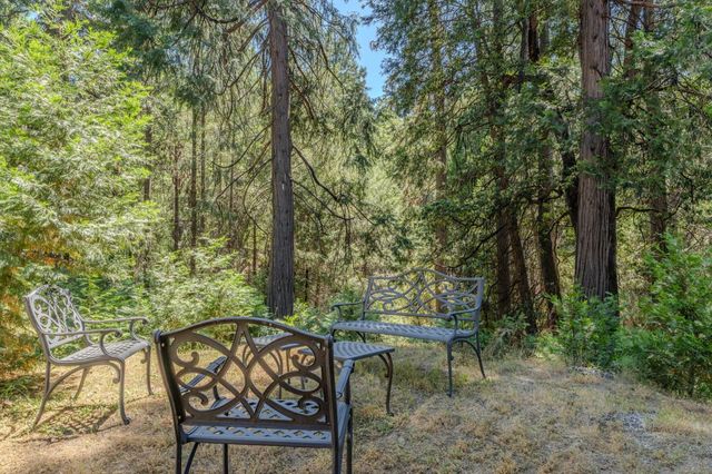 18150 Acorn Ct, Pioneer, CA 95666