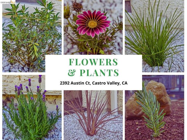 2392 Austin Ct, Castro Valley, CA 94546