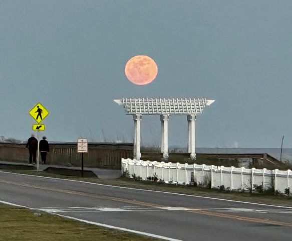 439 Sandy Cay Drive, Miramar Beach, FL 32550