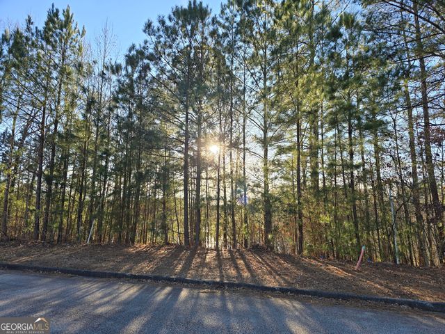 8342 Loch Lomand Lane, Winston, GA 30187