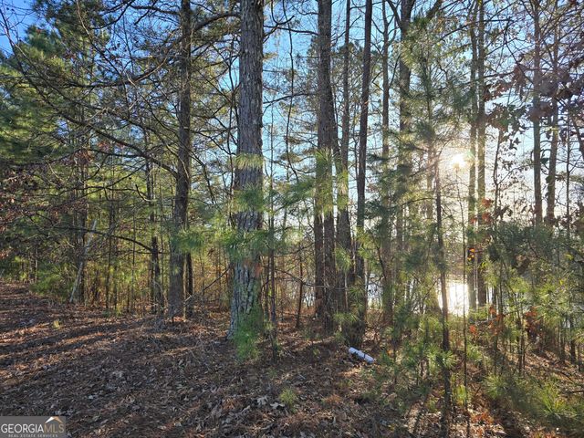 8342 Loch Lomand Lane, Winston, GA 30187