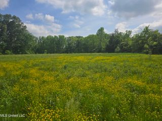 Laughter Road, Hernando, MS 38632