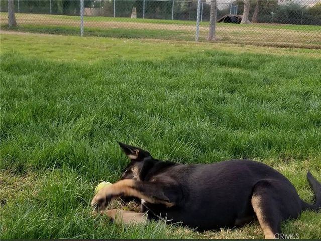 13226 HITCHING RAIL Circle, Corona, CA 92883