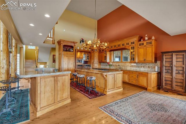 15958 Shadow Mountain Ranch Road, Larkspur, CO 80118