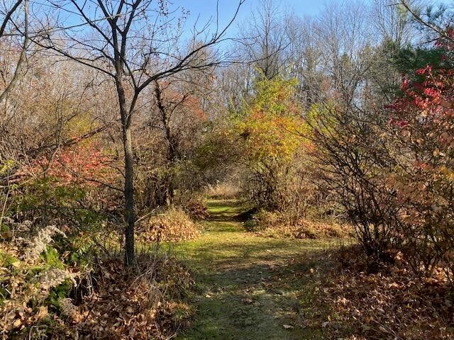 4650 36th Street, Galesburg, MI 49053