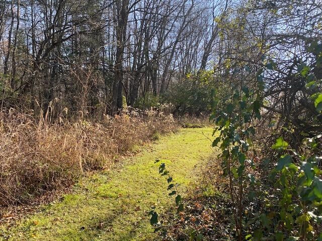 4650 36th Street, Galesburg, MI 49053