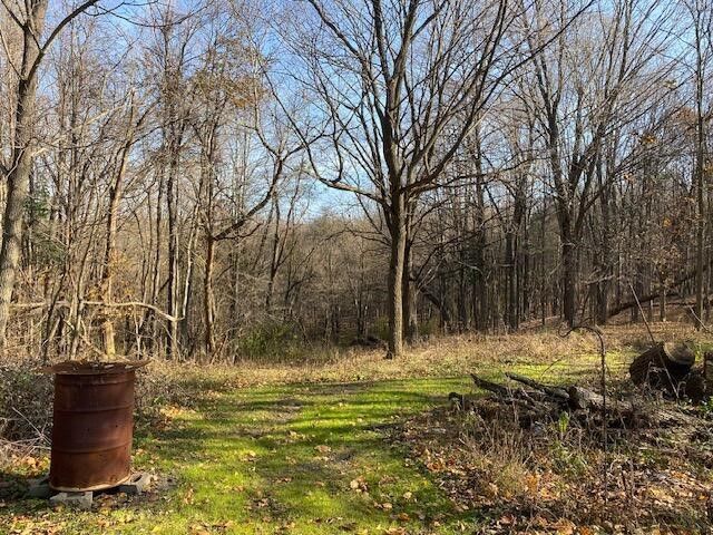 4650 36th Street, Galesburg, MI 49053